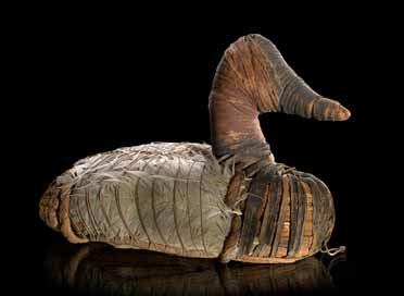 Duck decoy - Lovelock Cave