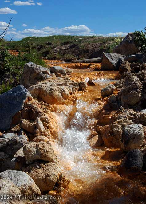 Microbiology of a Hot Spring