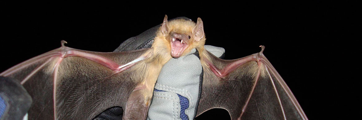 Bureau of Reclamation