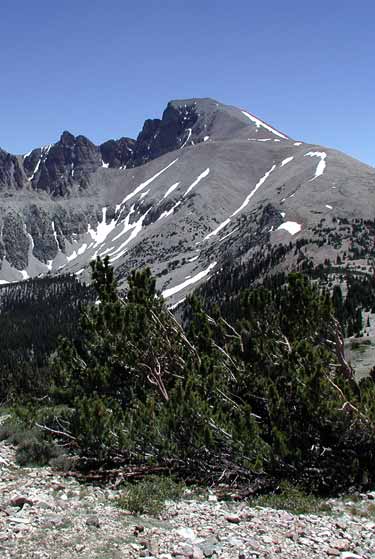 Wheeler Peak