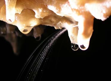 Basin and Range Hydrology