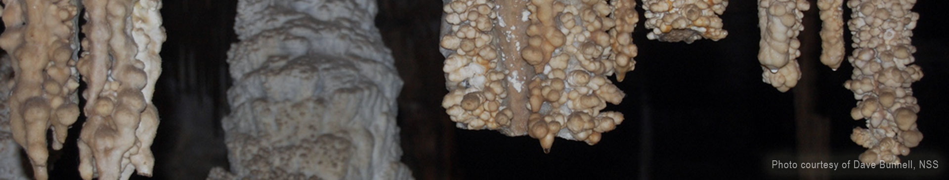 Lehman Cave photo by Dave Bunnell