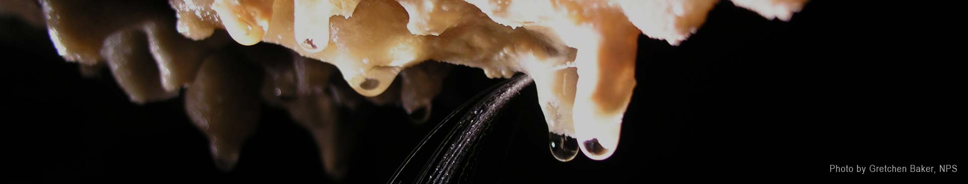 Lehman Caves, Great Basin NP