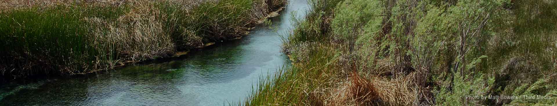 Big Spring at Duckwater